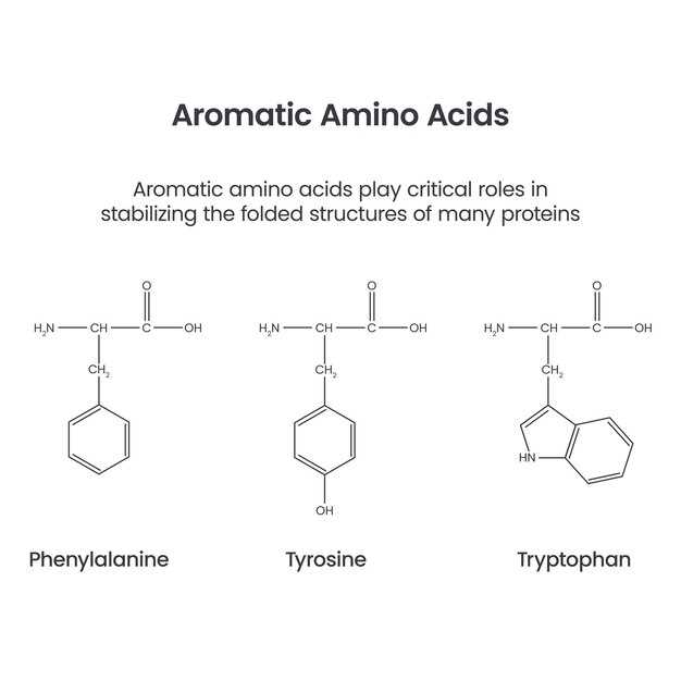 Regulating Neurotransmitters